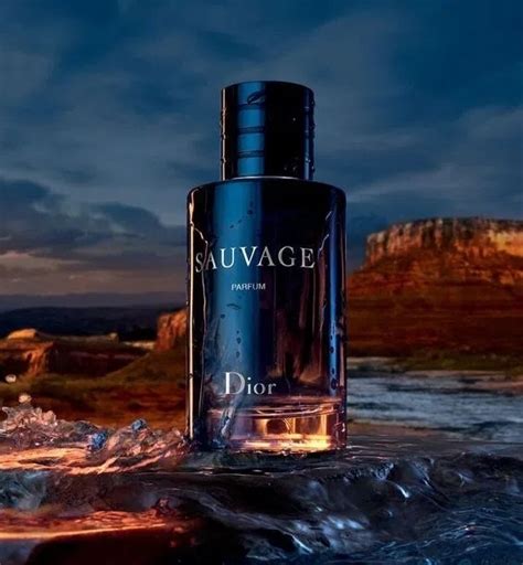 dior sauvage 2023|dior sauvage cheapest price.